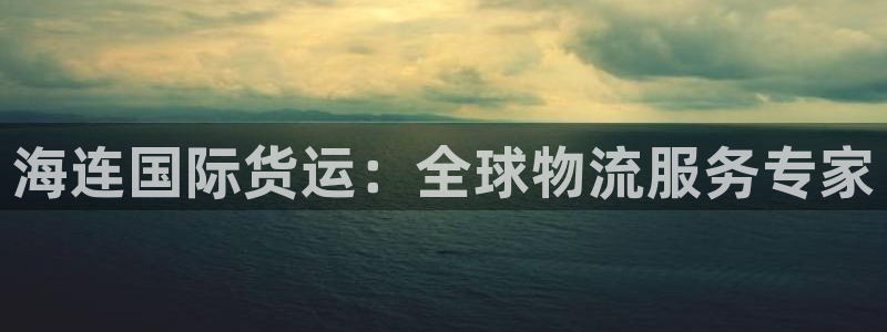 尊龙凯时平台还是万搏好：海连国际货运：全球物流服务专家