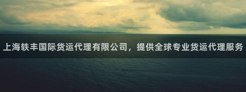 尊龙d88官网登录：上海轶丰国际货运代理有限公司，提供全