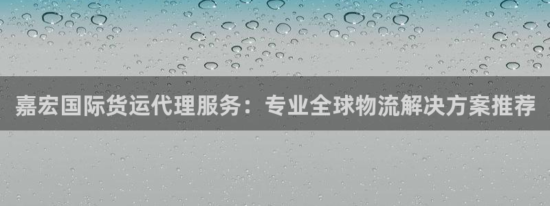 尊龙下载推荐网站：嘉宏国际货运代理服务：专业全球物流解决