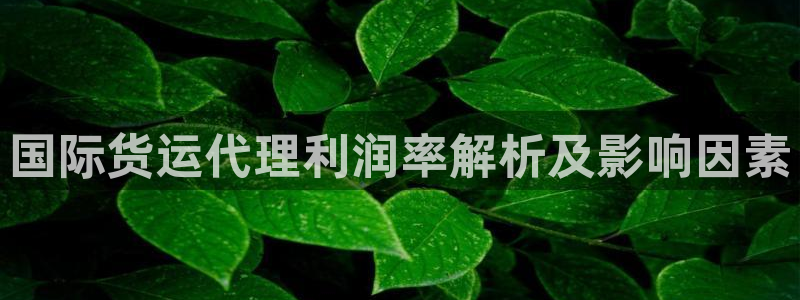 尊龙z6官网：国际货运代理利润率解析及影响因素