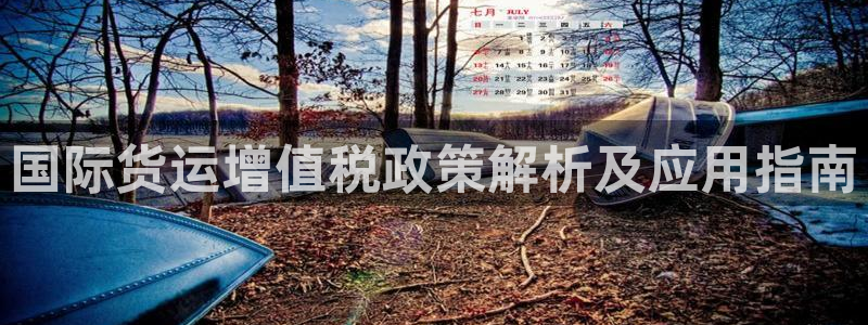 尊龙人生就是博登录：国际货运增值税政策解析及应用指南