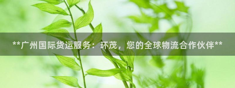 尊龙d88手机版下载：**广州国际货运服务：环茂，您的全