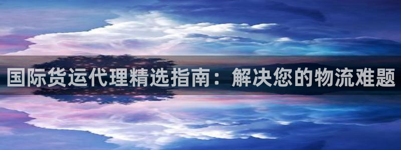 尊龙凯时 人生就是搏客服：国际货运代理精选指南：解决您的