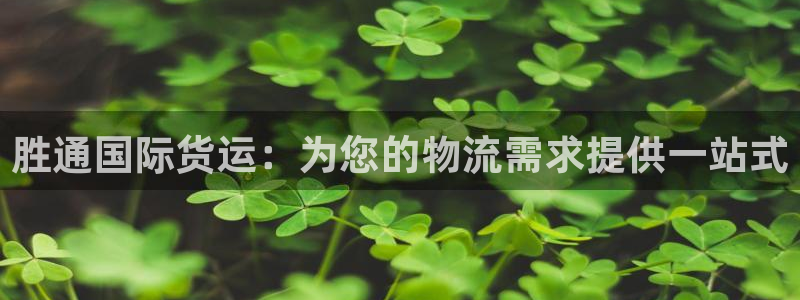 尊龙凯时网站不让提款：胜通国际货运：为您的物流需求提供一