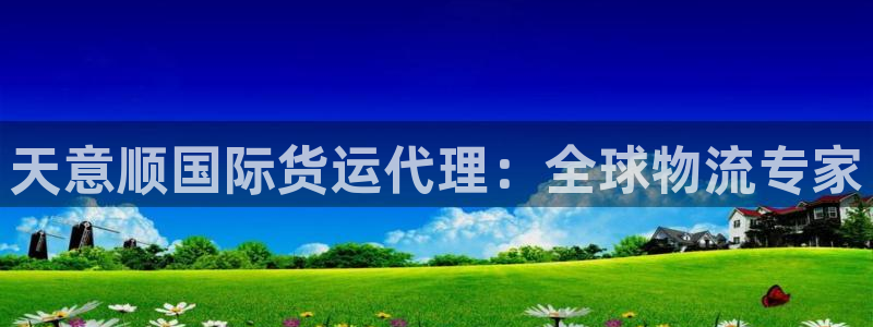 尊龙凯时网站登录：天意顺国际货运代理：全球物流专家